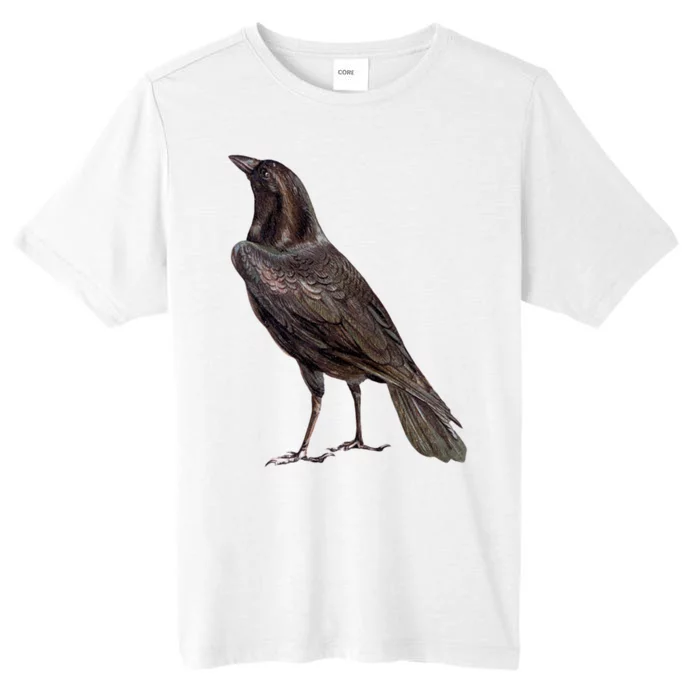 Raven Crow Vintage ChromaSoft Performance T-Shirt