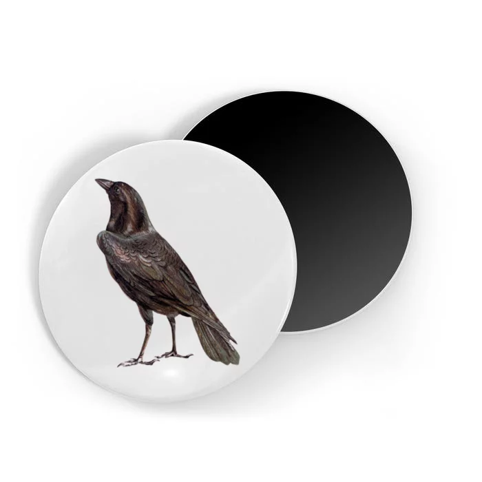 Raven Crow Vintage Magnet