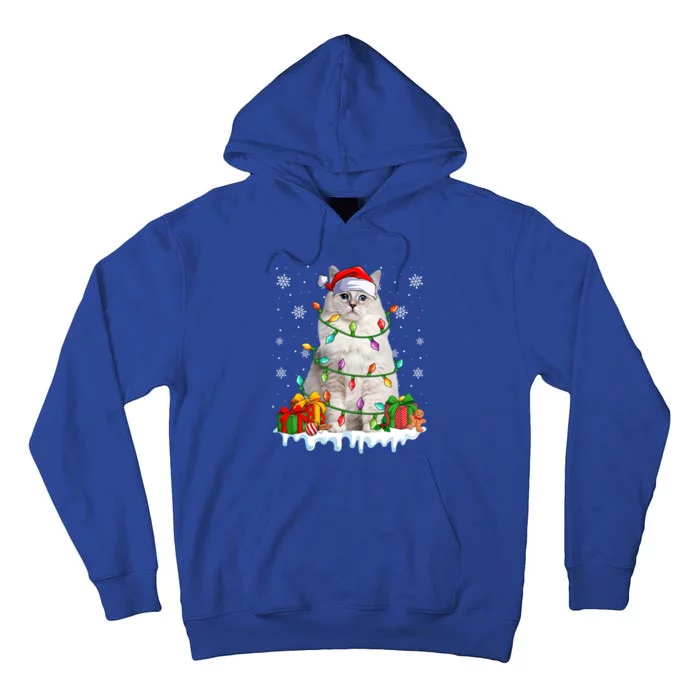 Ragdoll Cat Xmas Light Christmas Kitten Lover Gift Tall Hoodie