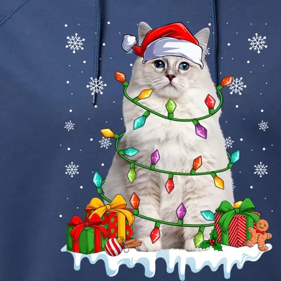 Ragdoll Cat Xmas Light Christmas Kitten Lover Gift Performance Fleece Hoodie