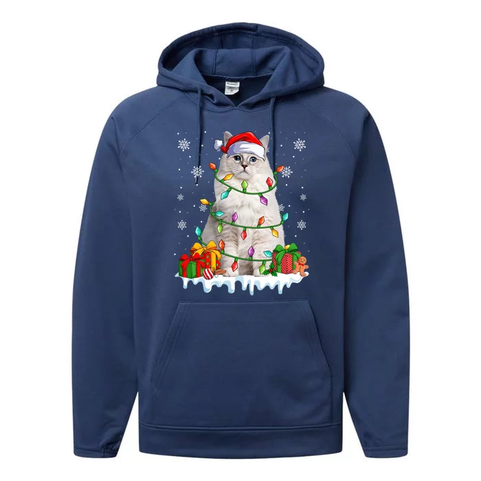 Ragdoll Cat Xmas Light Christmas Kitten Lover Gift Performance Fleece Hoodie