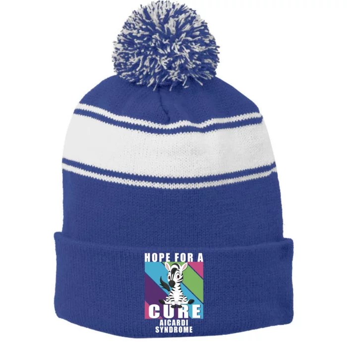 Rare Disease Awareness Day Hope Cure Aicardi Syndrome Funny Gift Stripe Pom Pom Beanie