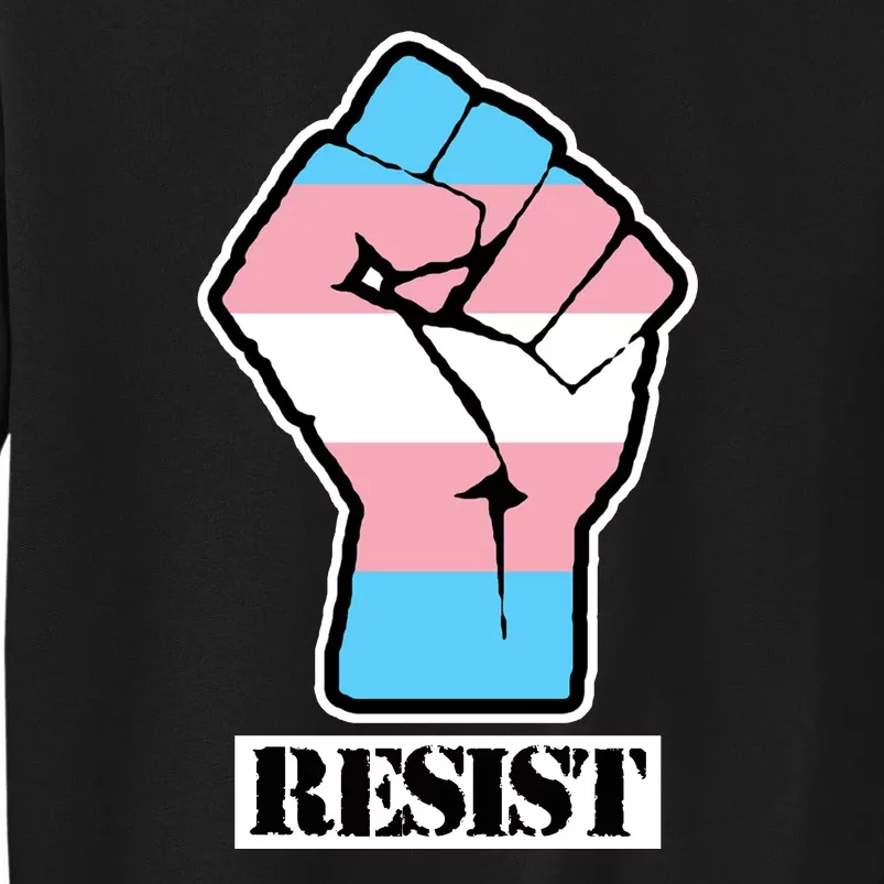 Resist Demigirl Fist Flag Sweatshirt