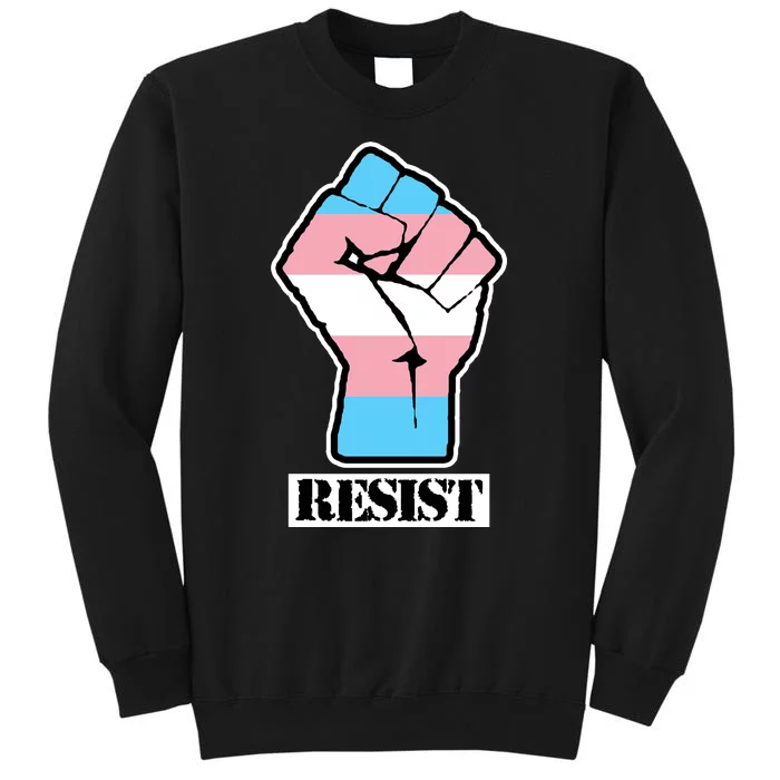 Resist Demigirl Fist Flag Sweatshirt