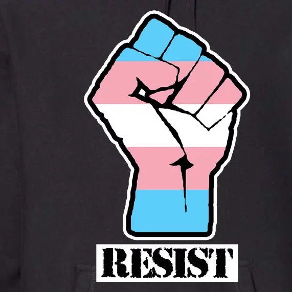 Resist Demigirl Fist Flag Premium Hoodie