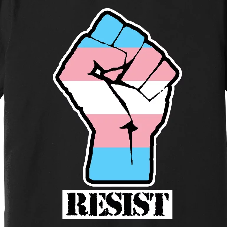 Resist Demigirl Fist Flag Premium T-Shirt