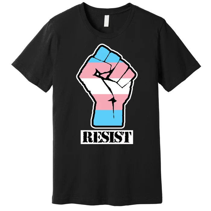 Resist Demigirl Fist Flag Premium T-Shirt