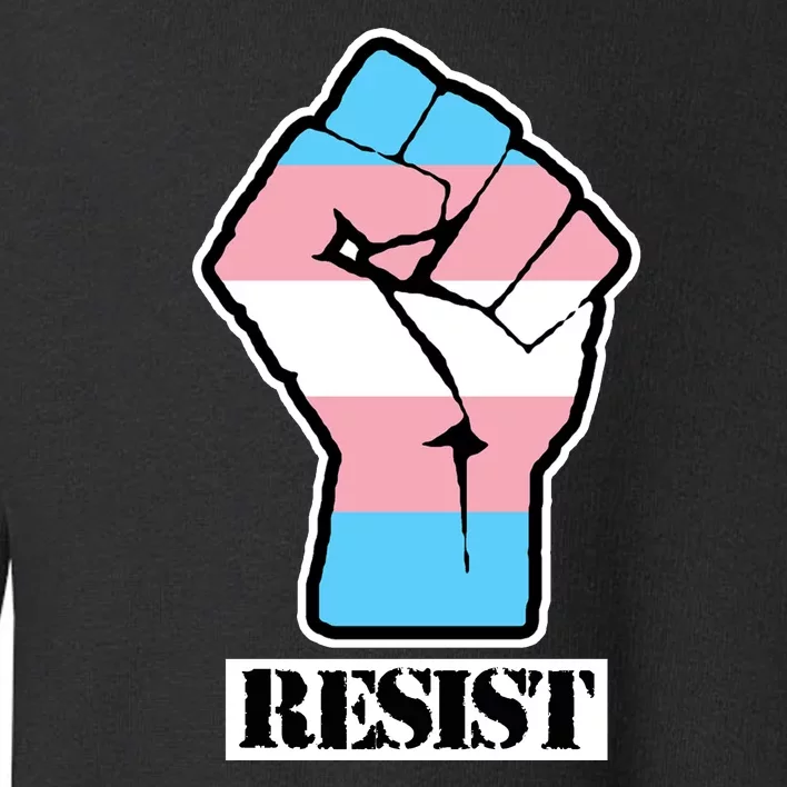 Resist Demigirl Fist Flag Toddler Sweatshirt