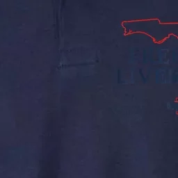 Ron DeSantis Freedom Lives Here Don't Tread On Florida 2022 Softstyle Adult Sport Polo