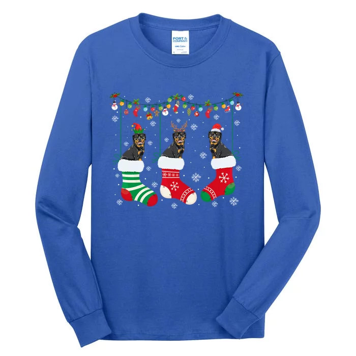 Rottweiler Dog In Christmas Socks Santa Hat Lights Sweater Gift Tall Long Sleeve T-Shirt