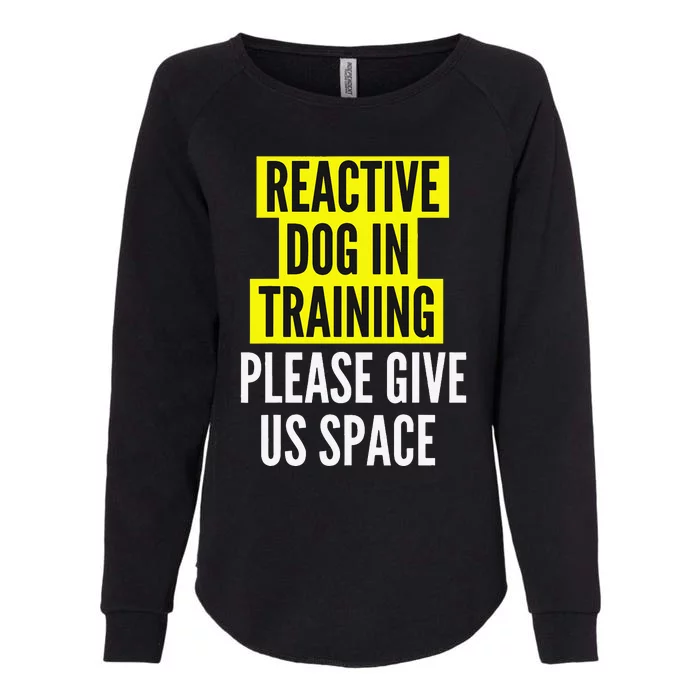 Reactive Dog In Training & Nervous Dog Owners BOTH SIDES Womens California Wash Sweatshirt