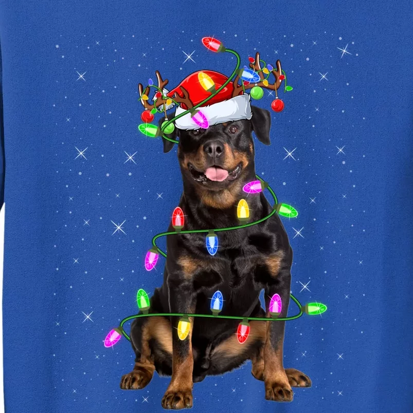 Rottweiler Dog Lover Xmas Lights Santa Rottweiler Christmas Gift Tall Sweatshirt