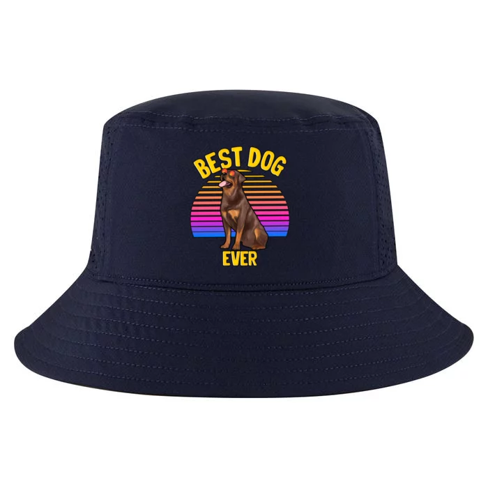 Rottweiler Dog Lover Funny Cute Best Dog Puppy Lover Gift Cool Comfort Performance Bucket Hat