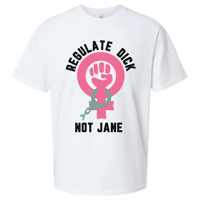 Regulate Dick Not Jane Sueded Cloud Jersey T-Shirt