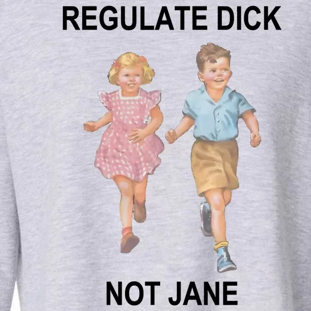 Regulate Dick Not Jane Cropped Pullover Crew