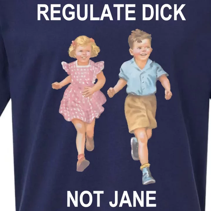 Regulate Dick Not Jane Sueded Cloud Jersey T-Shirt