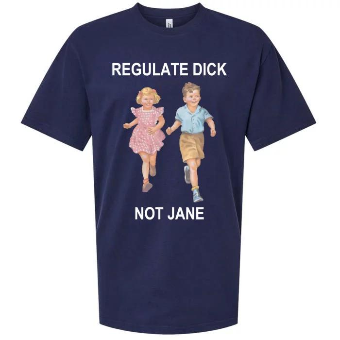 Regulate Dick Not Jane Sueded Cloud Jersey T-Shirt