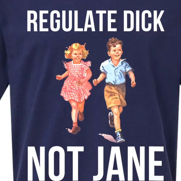 Regulate Dick Not Janes Funny Sueded Cloud Jersey T-Shirt