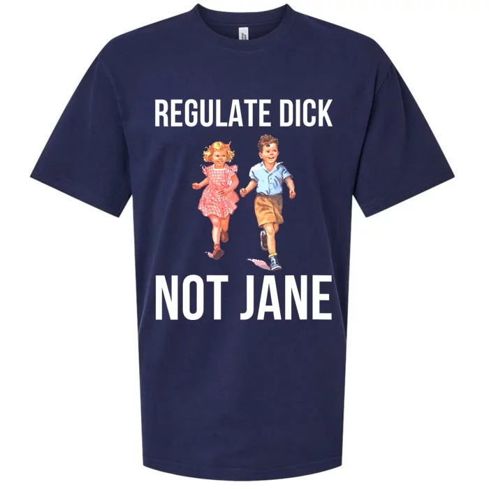 Regulate Dick Not Janes Funny Sueded Cloud Jersey T-Shirt