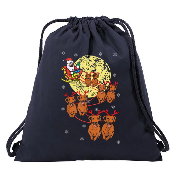 Reindeer Dachshund Santa Christmas Pet Drawstring Bag