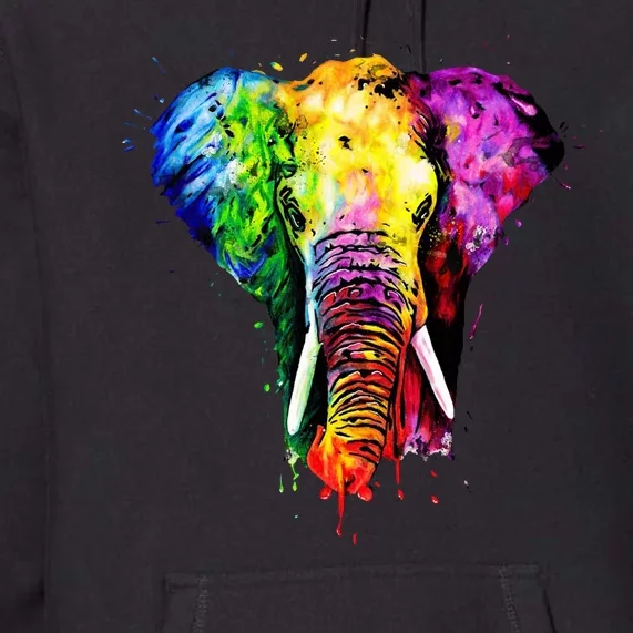 Rainbow Elephant Art Cute Gift Premium Hoodie