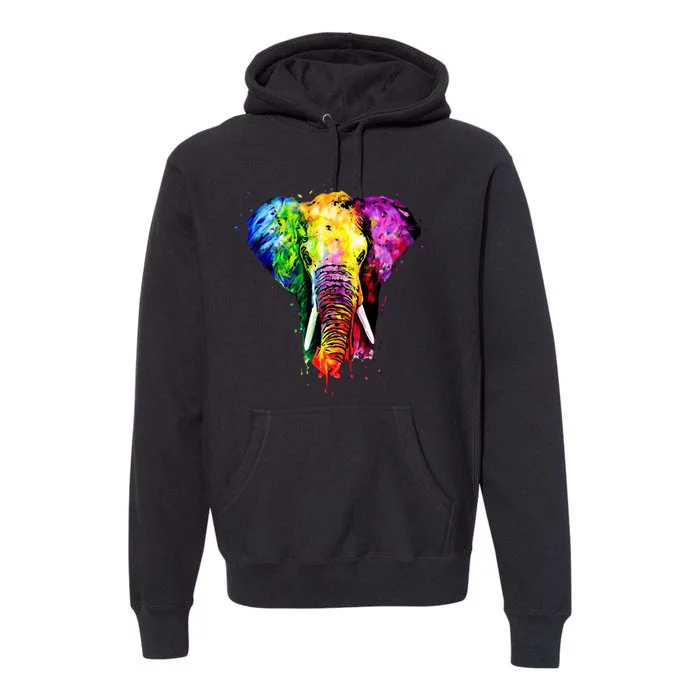 Rainbow Elephant Art Cute Gift Premium Hoodie