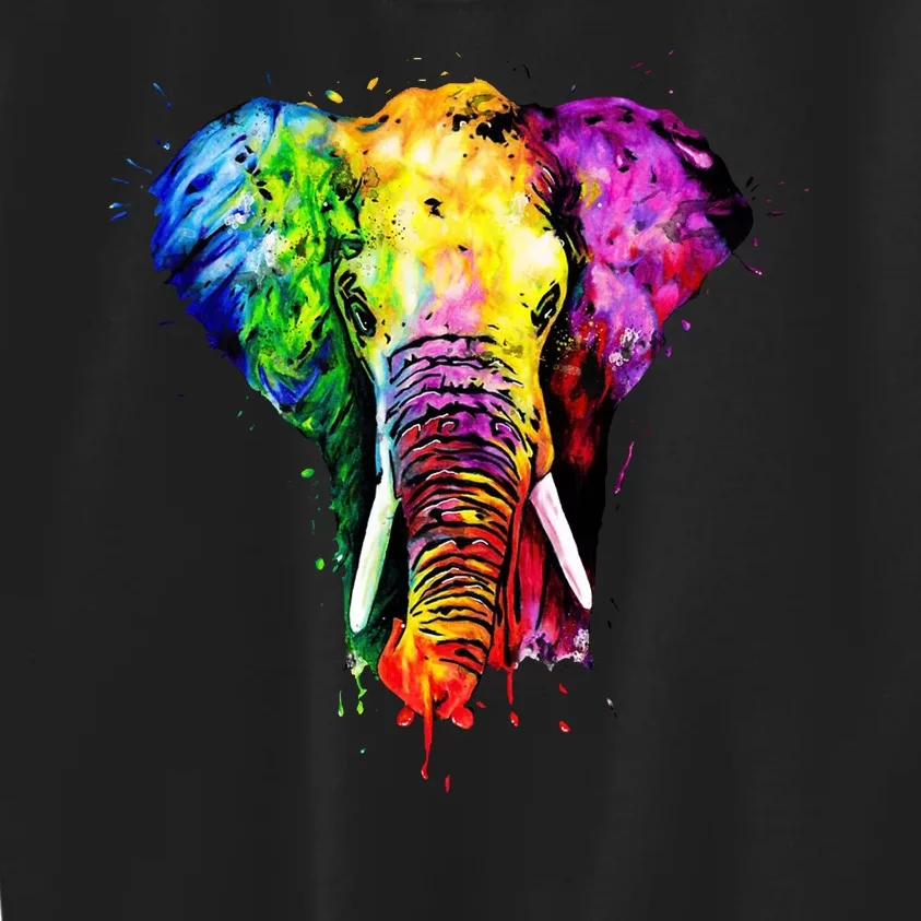 Rainbow Elephant Art Cute Gift Kids Sweatshirt