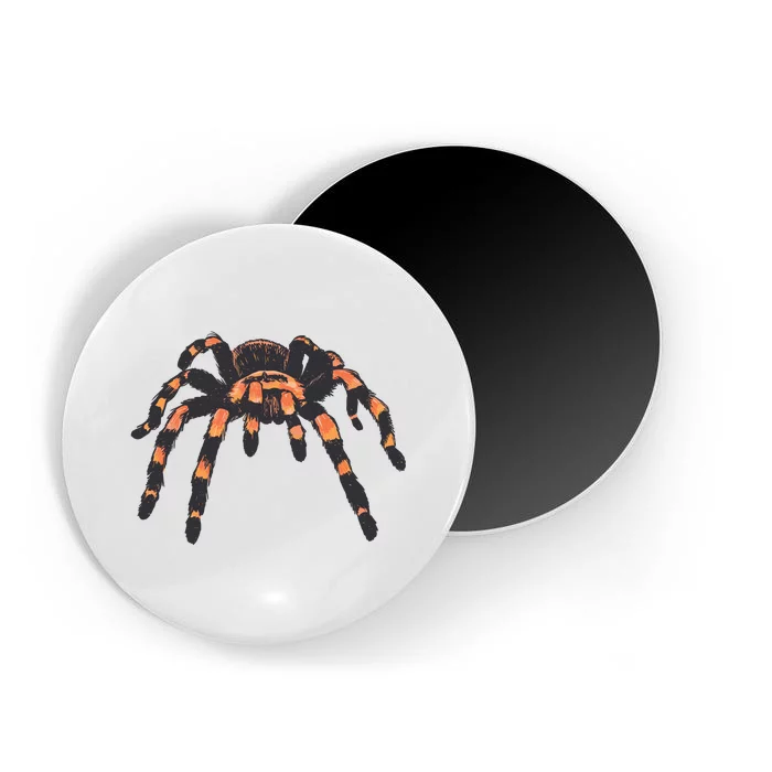 Realistic Tarantula Magnet