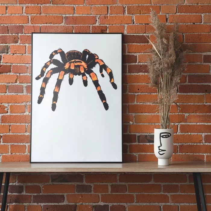 Realistic Tarantula Poster