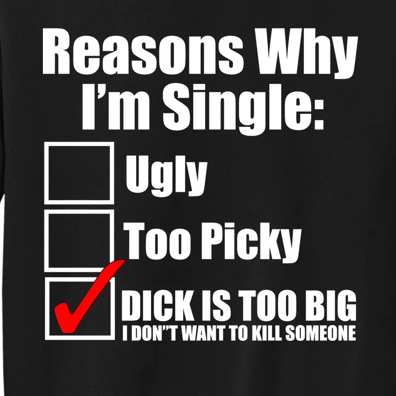 Reasons Why Im Single Ugly Picky Dick Too Big Mens Funny Sweatshirt