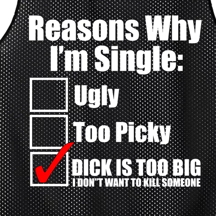 Reasons Why Im Single Ugly Picky Dick Too Big Mens Funny Mesh Reversible Basketball Jersey Tank