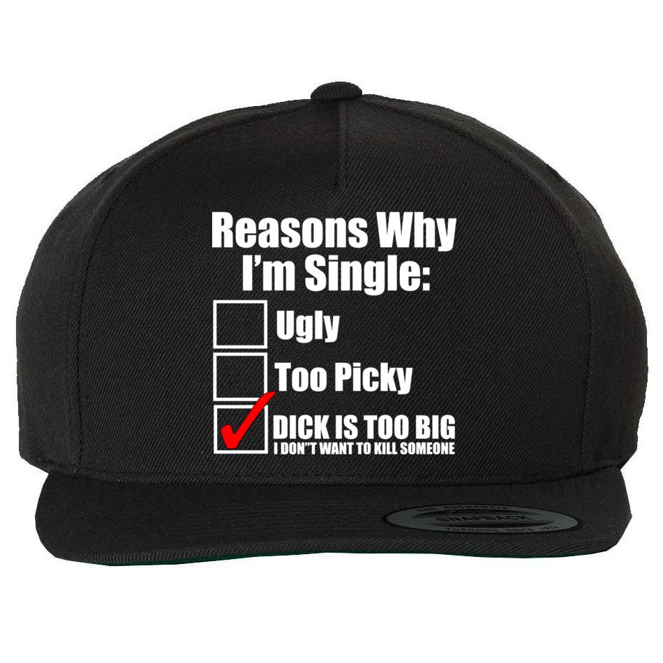 Reasons Why Im Single Ugly Picky Dick Too Big Mens Funny Wool Snapback Cap  | TeeShirtPalace