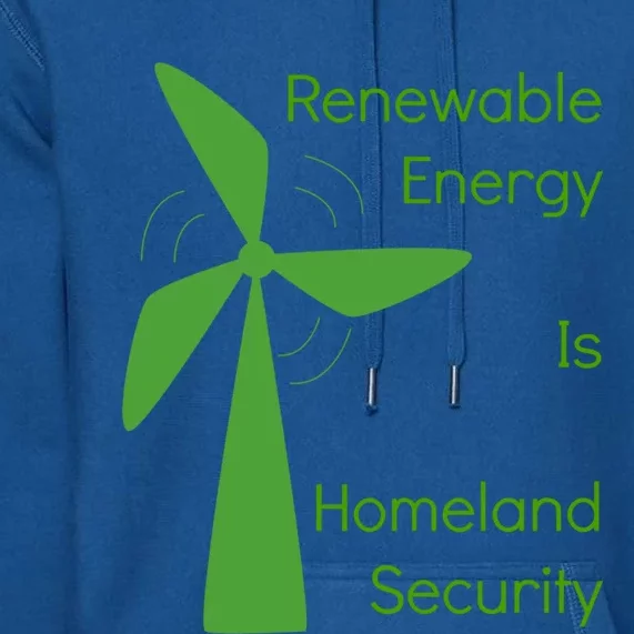 Renewable Energy Is Homeland Security Climate Change Gift Meaningful Gift Premium Hoodie