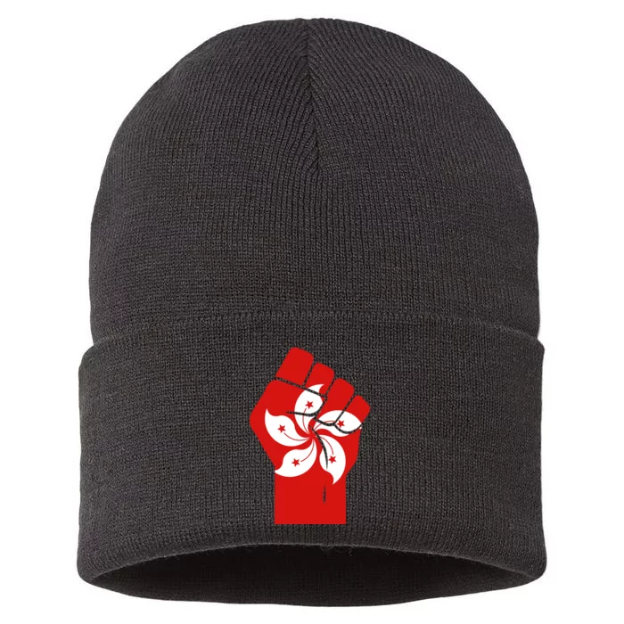 Resist Fist Hong Kong Flag Sustainable Knit Beanie