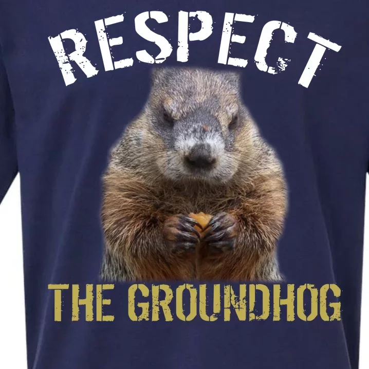 Respect The Groundhog Sueded Cloud Jersey T-Shirt