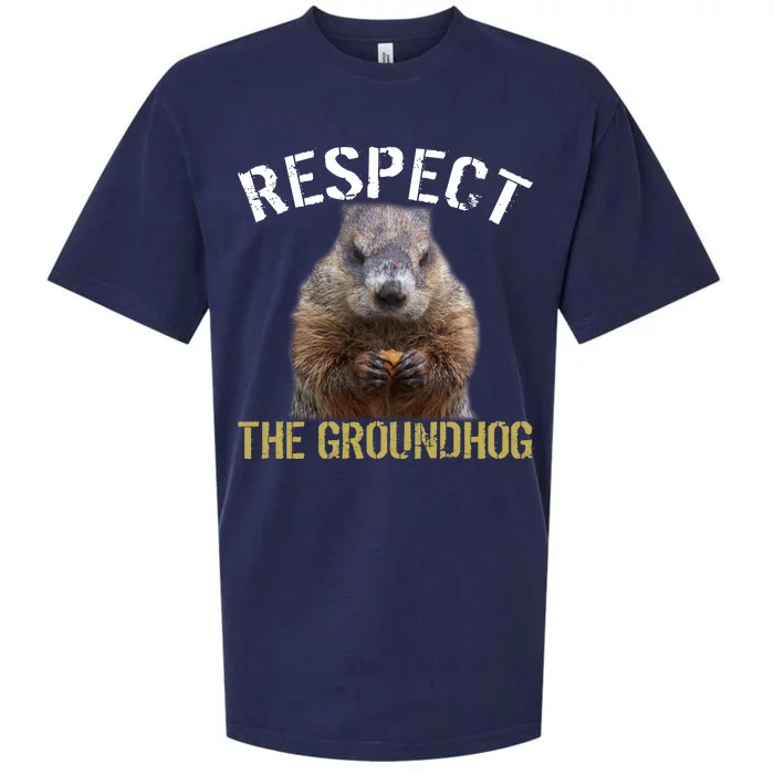 Respect The Groundhog Sueded Cloud Jersey T-Shirt