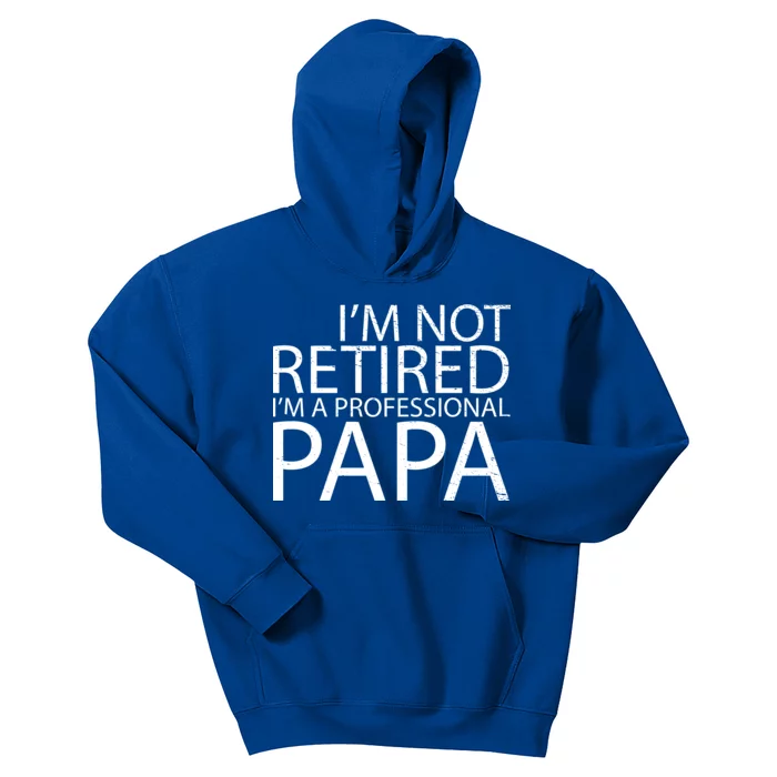 Retired Professional Papa Kids Hoodie