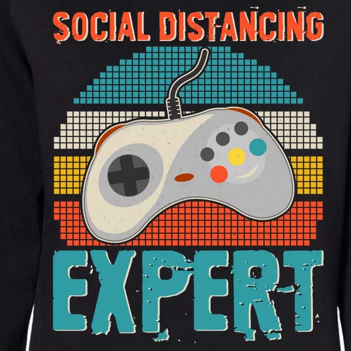 Retro Social Distancing Expert Video Gamer Womens California Wash Sweatshirt