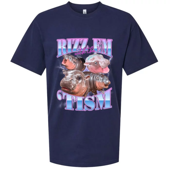 Rizz Em With The Tism Meme Moo Deng Sueded Cloud Jersey T-Shirt