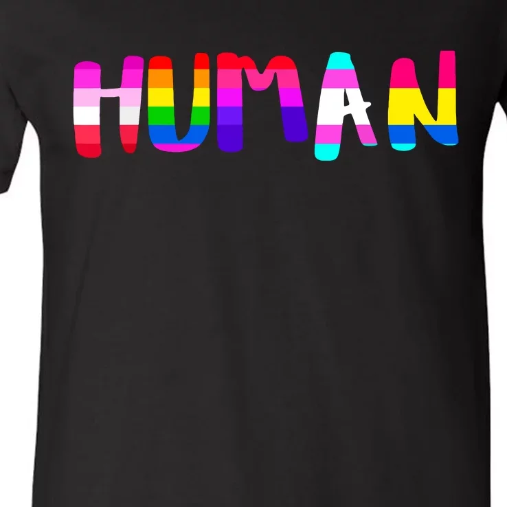 Rainbow Flag Human Rights Gay Rights Lgbtq Pride Month V-Neck T-Shirt