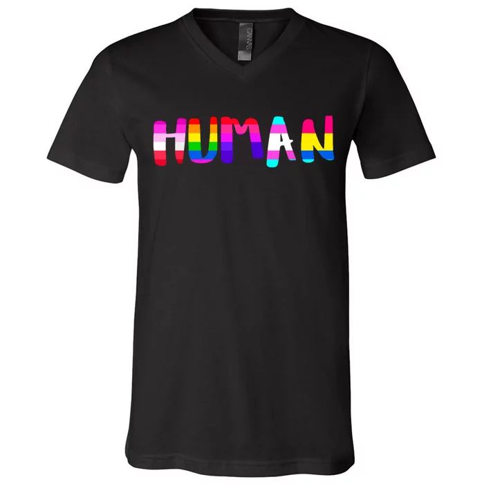 Rainbow Flag Human Rights Gay Rights Lgbtq Pride Month V-Neck T-Shirt