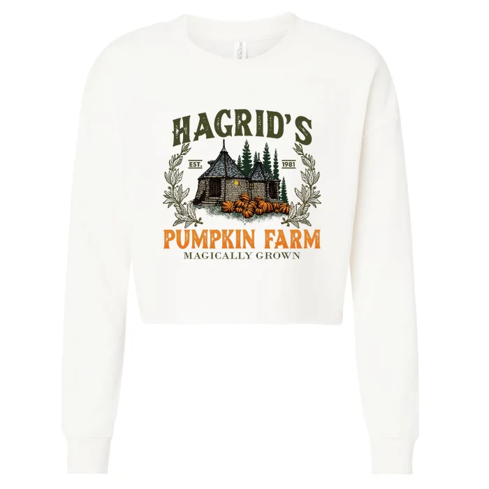 Retro Fall HagridS Pumpkin Farm Patch Autumn Pumpkin Garden Cropped Pullover Crew