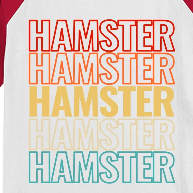 Retro Funny Hamsters And Cute Hamster Pet Gift Kids Colorblock Raglan Jersey