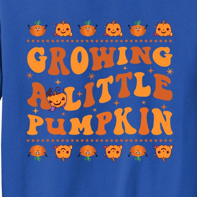 Retro Growing A Little Pumpkin Cute New Mom Fall Pregnancy Gift Sweatshirt