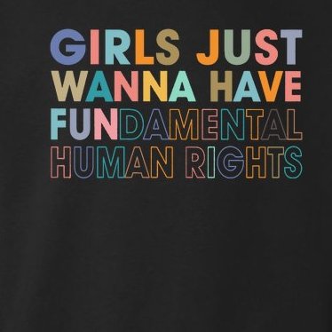 Retro Girls Just Wanna Have Fundamental Human Rights Women's Rights Feminist Toddler Hoodie