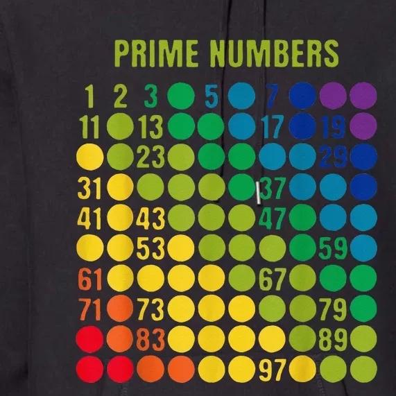 Rainbow Grid Of Prime Numbers School Teacher Premium Hoodie