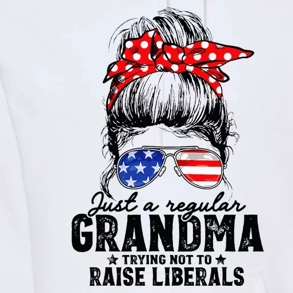 Regular Grandma Trying Not To Raise Liberals Voted For Trump Premium Hoodie