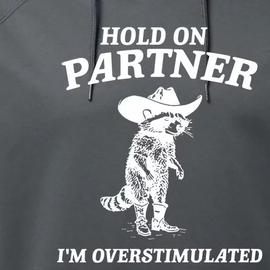 Raccoon Hold On Partner IM Overstimulated Performance Fleece Hoodie