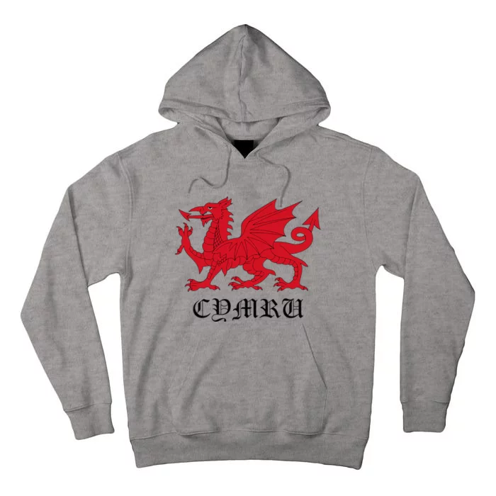 Retro Heraldic Red Welsh Dragon Of Wales Cymru Y Ddraig Goch Tall Hoodie