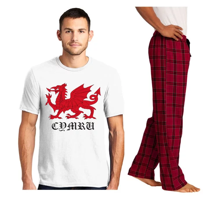 Retro Heraldic Red Welsh Dragon Of Wales Cymru Y Ddraig Goch Pajama Set